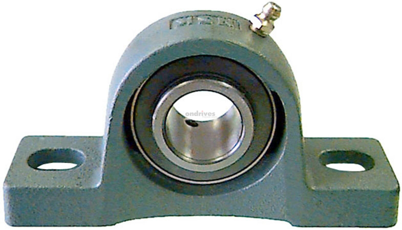 Cast Iron Bearing Units